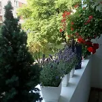 Apartamento 24 Centrum Mieszkanie śródmieście