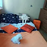 24 Centrum Mieszkanie Srodmiescie Appartement *