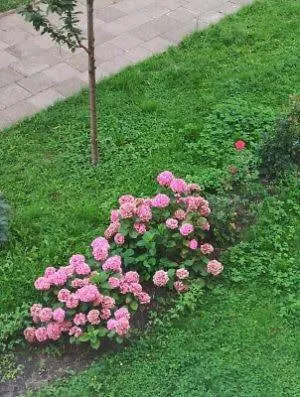 24 Centrum Mieszkanie Srodmiescie Апартаменты Гдыня