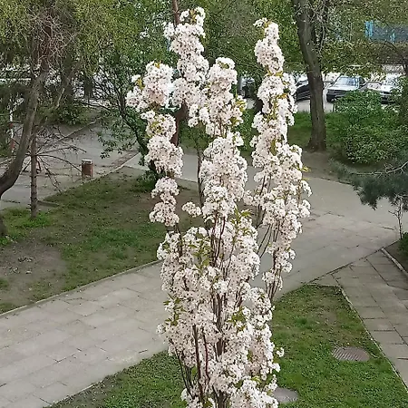 24 Centrum Mieszkanie śródmieście *