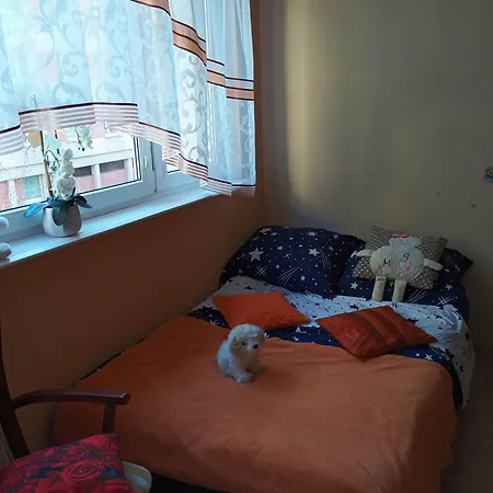 24 Centrum Mieszkanie Srodmiescie * Гдыня