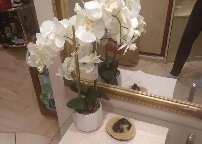 24 Centrum Mieszkanie śródmieście Gdynia