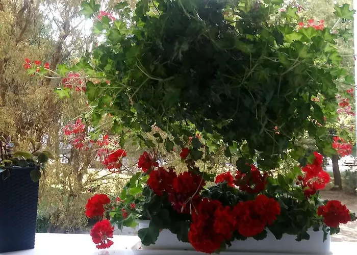 24 Centrum Mieszkanie śródmieście